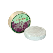 Ladda upp bild till gallerivisning, L´Encalat AOP 240g
